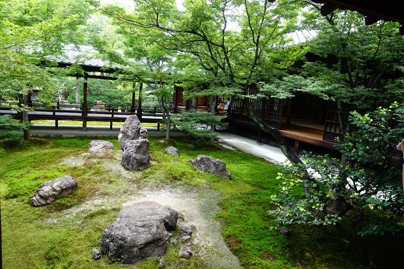 京都-建仁寺